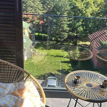 Yellow Moon Borovi *