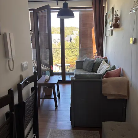 Yellow Moon Borovi *