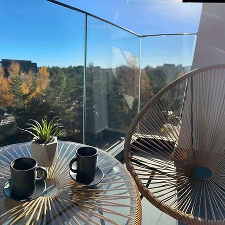 Yellow Moon Borovi Divčibare