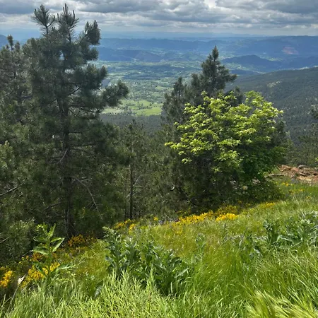 Yellow Moon Borovi Lägenhet *