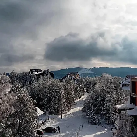 Yellow Moon Borovi Divčibare