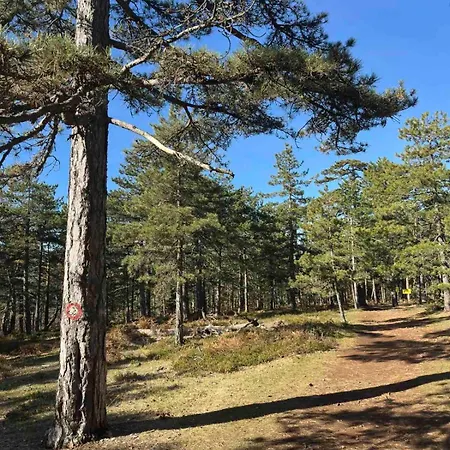 Lägenhet Yellow Moon Borovi *