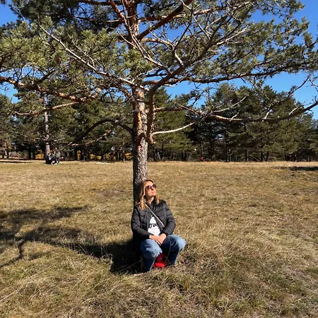 Lägenhet Yellow Moon Borovi Divčibare