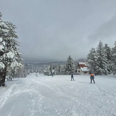 Yellow Moon Borovi شقة *