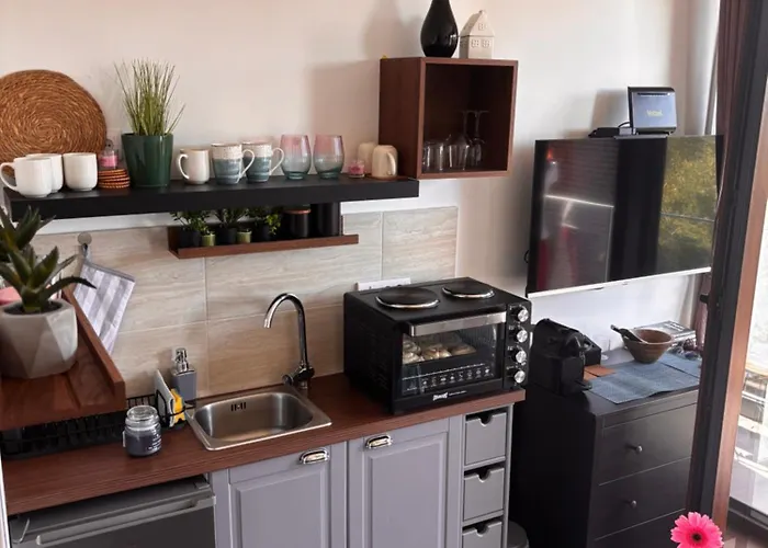 Yellow Moon Borovi شقة