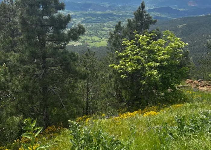 Yellow Moon Borovi شقة *