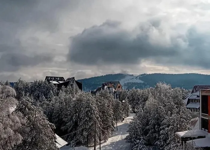 Yellow Moon Borovi Divčibare