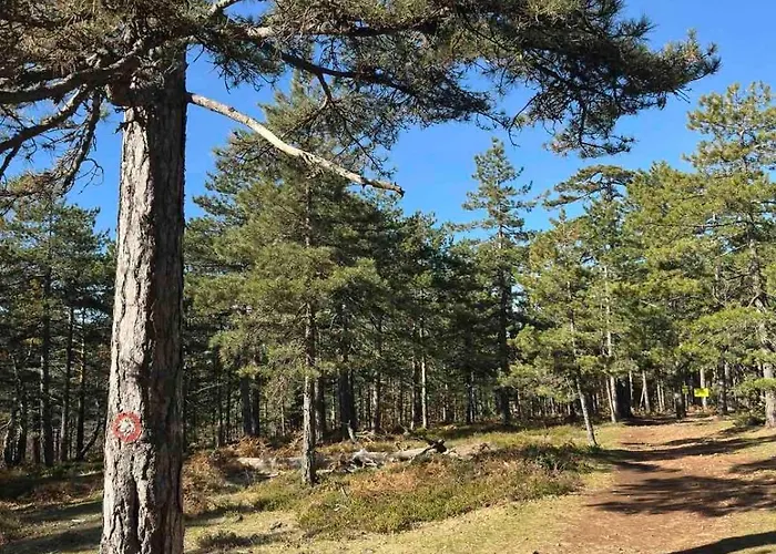 شقة Yellow Moon Borovi *