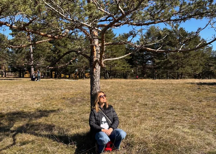 شقة Yellow Moon Borovi Divčibare