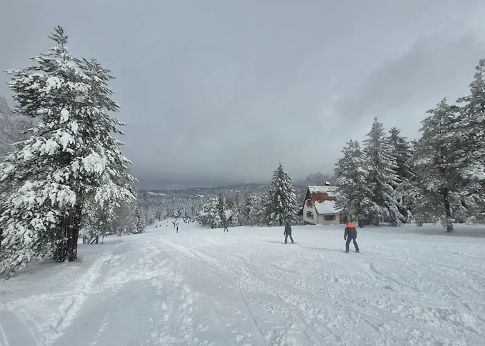 Yellow Moon Borovi شقة *